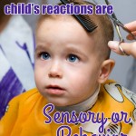 Child Reactions: Sensory Issues or Behavior Driven?