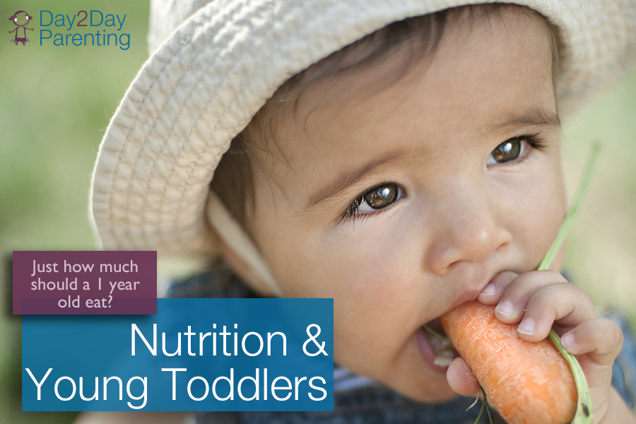 Toddler Nutrition - Day 2 Day Parenting